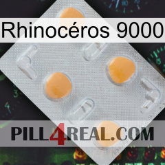 Rhinocéros 9000 24